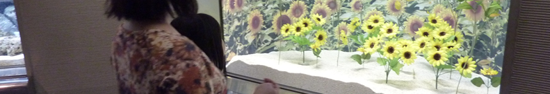 柿にこんな事実が！！