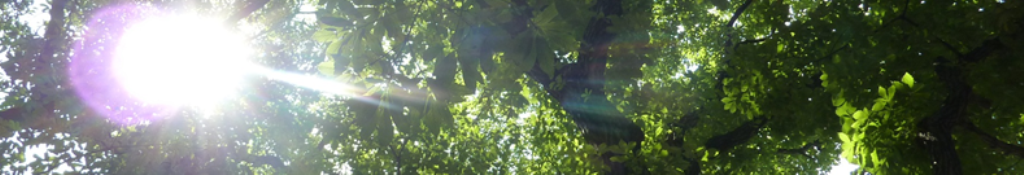 スパンクスについての速報！！