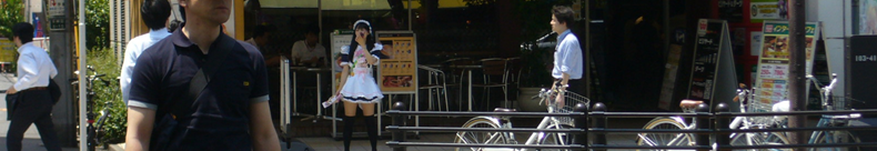 りんごについて調べました